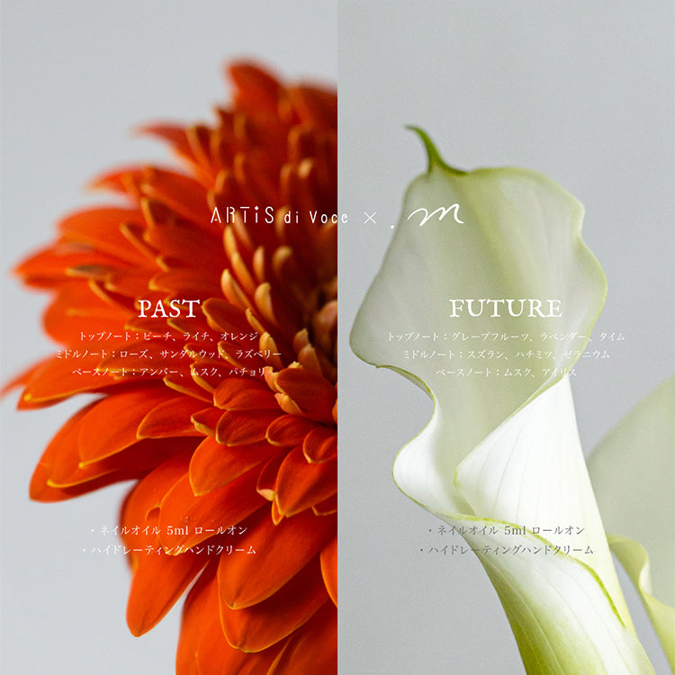 ARTiS di Voce ×.m ネイルオイル 5ml ロールオン PAST