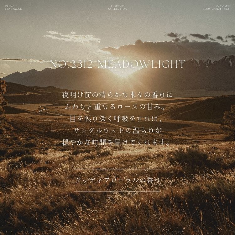ハンドウォッシュ 220ml 3312 MEADOWLIGHT